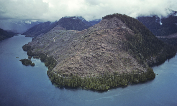 Coupe à blanc en Colombie-Britannique
