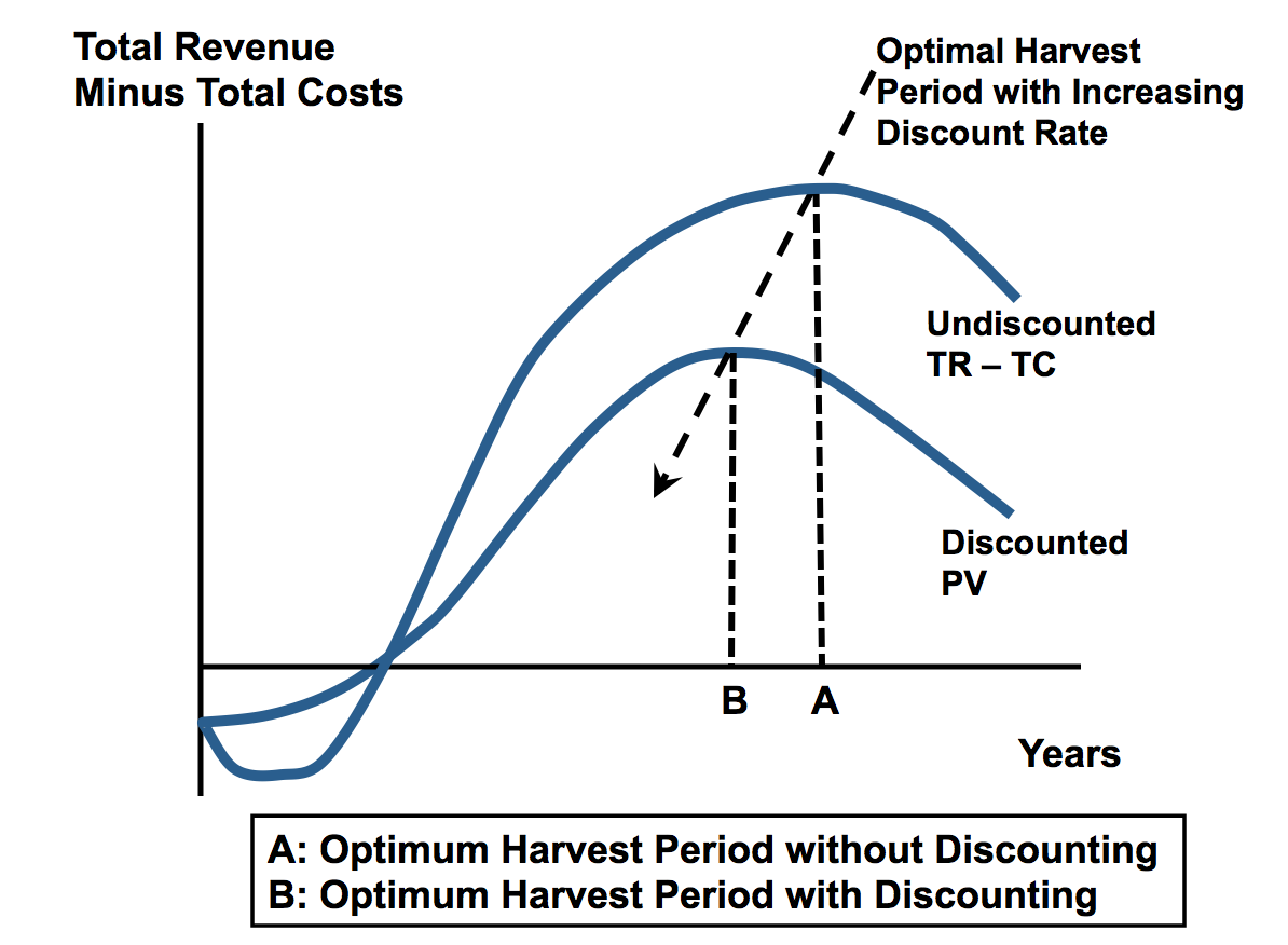 Rotation forestière